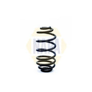 NAPA Rear Suspension Coil Spring NCS1252