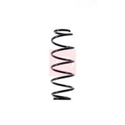 Apec 2 x Suspension Springs ACS1546