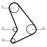 Continental CTAM Timing Belt Kit with Rollers CT1054K2