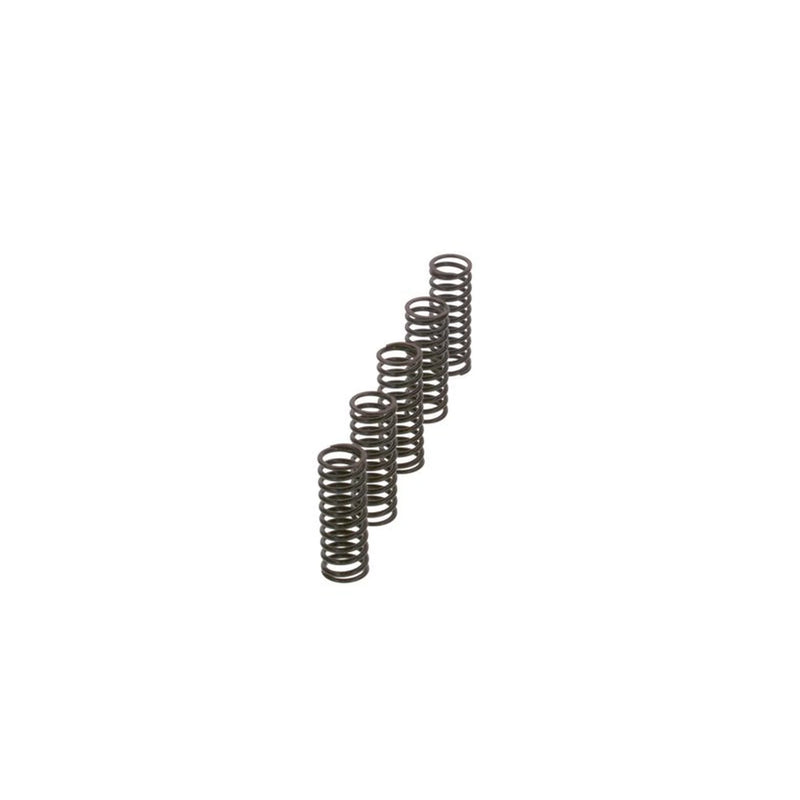 Bosch Compression Spring 2 444 617 010