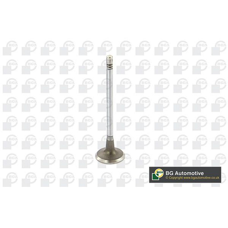 BGA Engine Intake Valve Head V149481