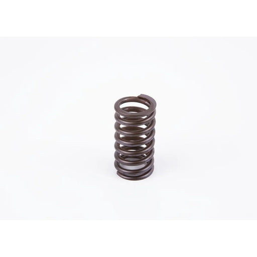 Bosch Compression Spring 2 434 619 040