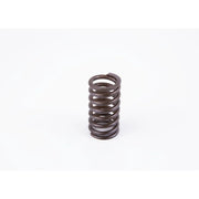 Bosch Compression Spring 2 434 614 033