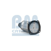 BM Catalysts Dpf BM11001