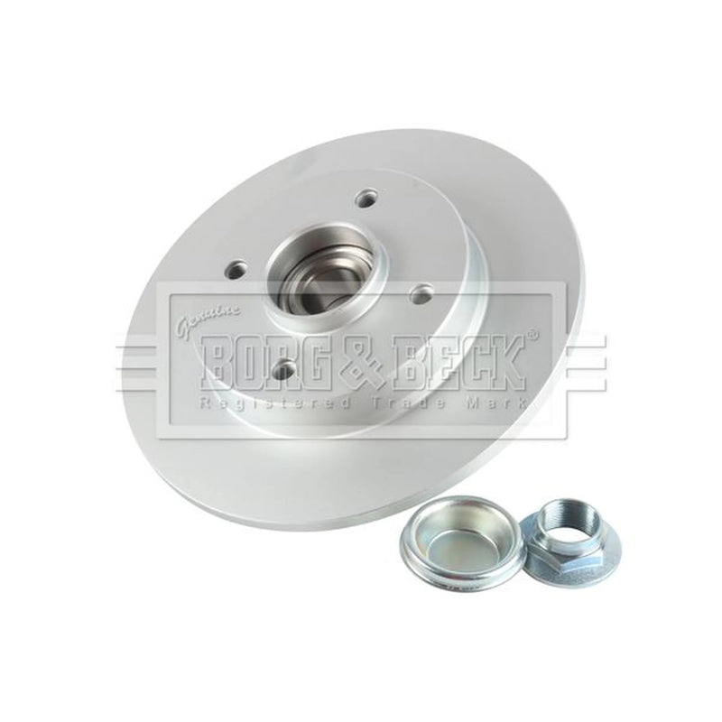 Borg & Beck 2 x Solid Rear Brake Discs BBD5841S