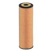 Hengst Engine Oil Filter E38H D106