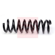 Apec Front Suspension Coil Spring ACS2243