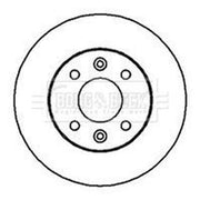 Borg & Beck 2 x Solid Front Brake Discs BBD4845