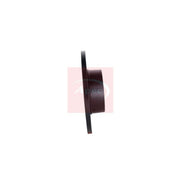 Apec 2 x Solid Rear Brake Discs DSK2097