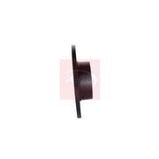 Apec 2 x Solid Rear Brake Discs DSK2097