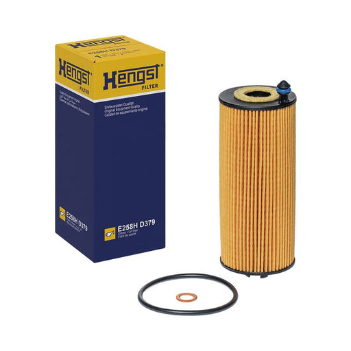 Hengst Engine Oil Filter E258H D379
