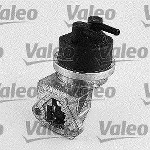 Valeo Fuel Pump Assembly 247118