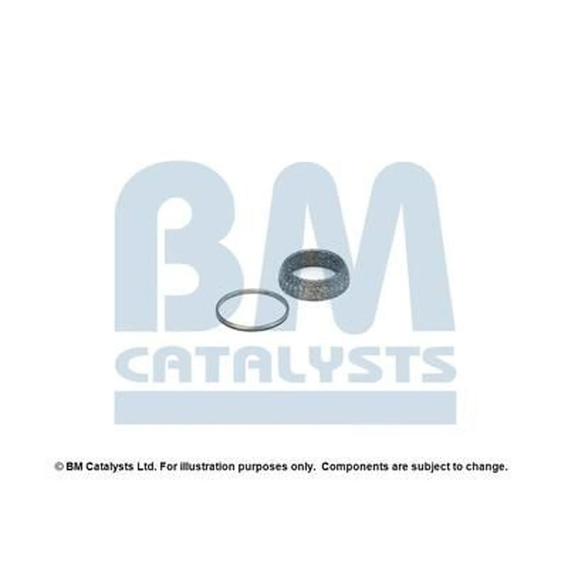 BM Catalysts Fitting Kit FK91782A FK91782A