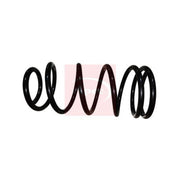 Apec Rear Suspension Coil Spring ACS1976