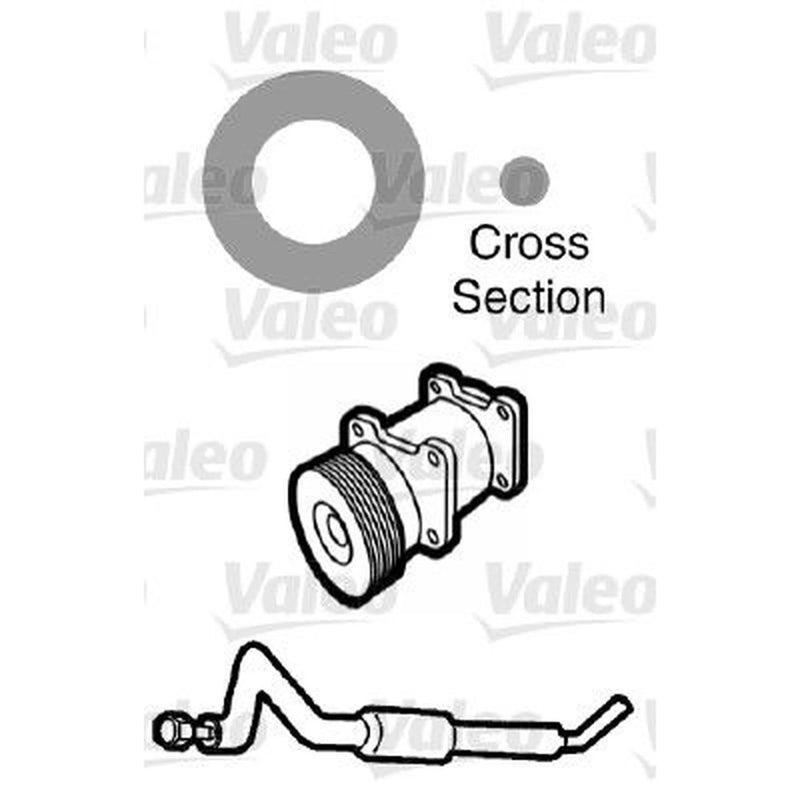 Valeo Oring Jaguar (X20) 509745 XR 810 305 509745