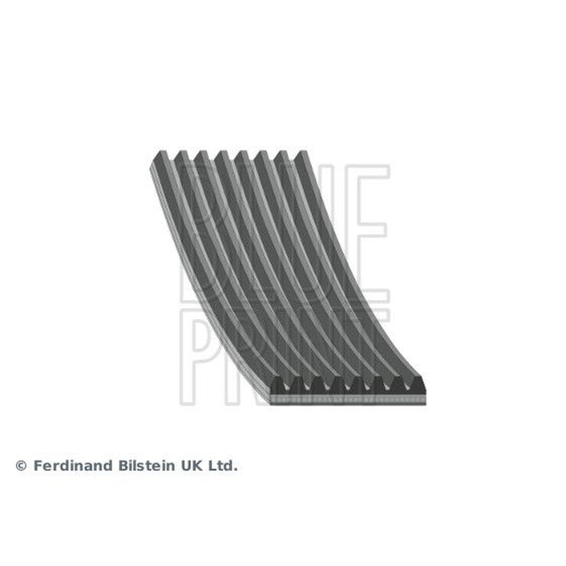 Blue Print Multi V-Ribbed Drive Belt AD08R2512