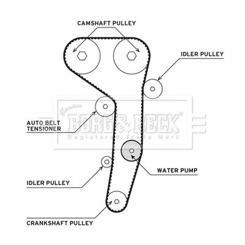 Borg & Beck Timing Belt & Water Pump Kit BTW1016