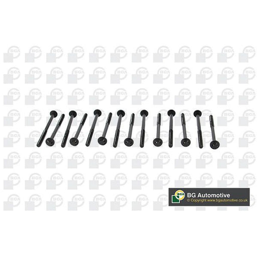 BGA Cylinder Head Bolt Set M12 BK2305