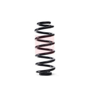 Apec 2 x Suspension Springs ACS1850