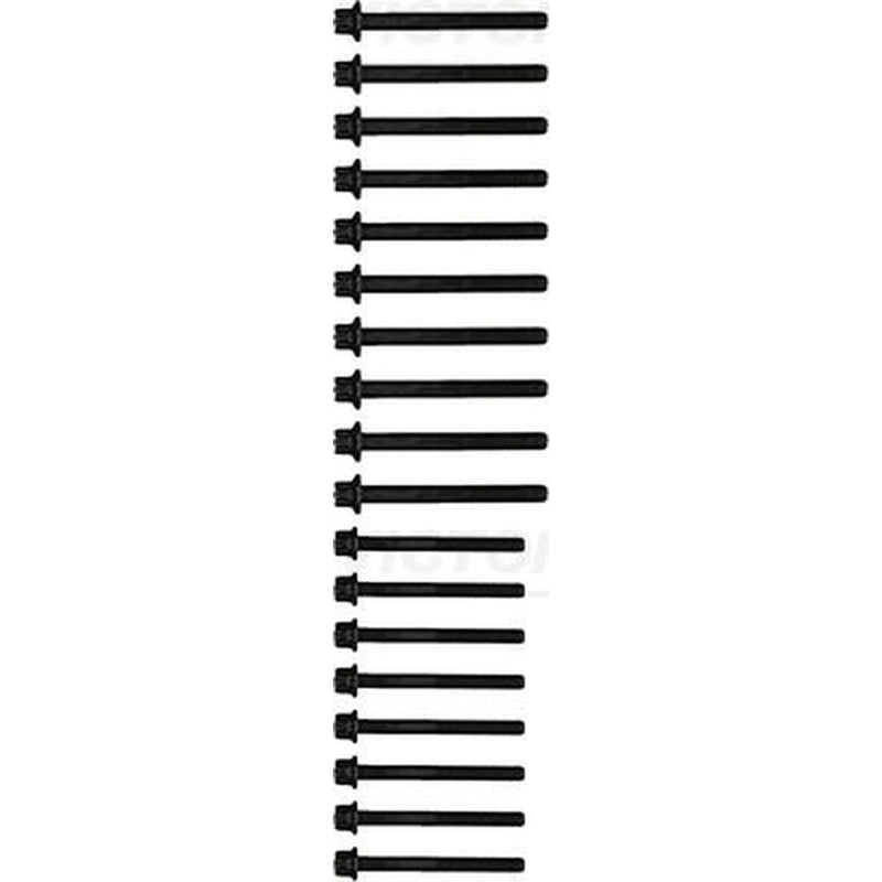 Victor Reinz Cylinder Head Bolt Set 14-32211-02