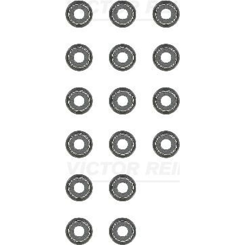Victor Reinz Valve Stem Seal Set ID High 12-10031-01