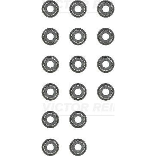 Victor Reinz Valve Stem Seal Set ID High 12-10031-01