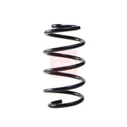 Apec Front Suspension Coil Spring ACS2256