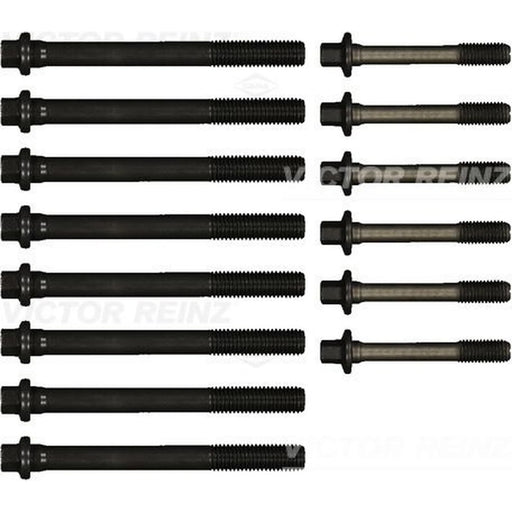 Victor Reinz Cylinder Head Bolt Set 14-32142-01