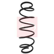 Apec 2 x Suspension Springs ACS1621