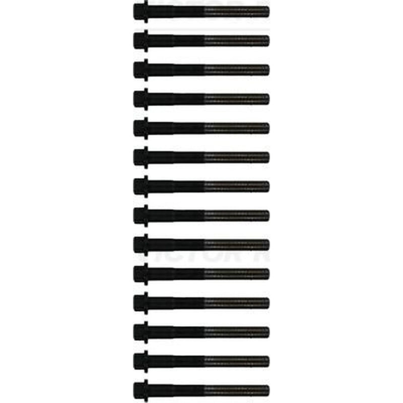 Victor Reinz Cylinder Head Bolt Set M11 14-32354-01