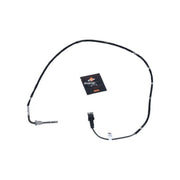 NRF Exhaust Gas Temperature Sensor before soot particulate fil 707051
