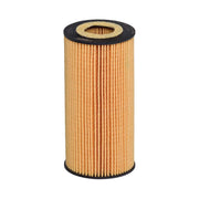 Hengst Engine Oil Filter E835H D325