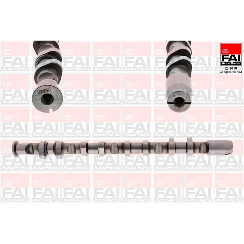 FAI Engine Camshaft Lobes C380