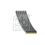 Febi Multi V-Ribbed Drive Belt 179843