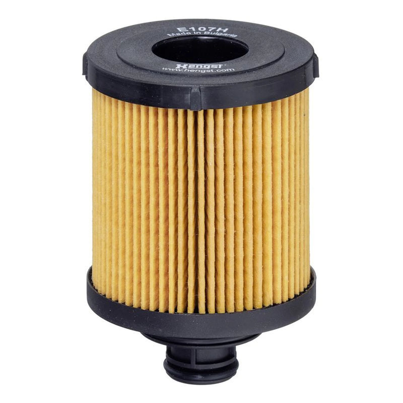 Hengst Engine Oil Filter E107H D166