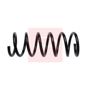 Apec Rear Suspension Coil Spring ACS2276