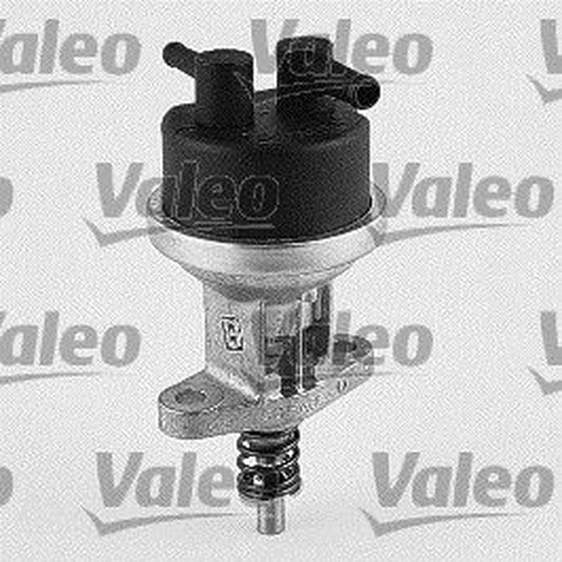 Valeo Fuel Pump Assembly 247095