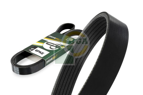BGA Multi V-Ribbed Drive Belt