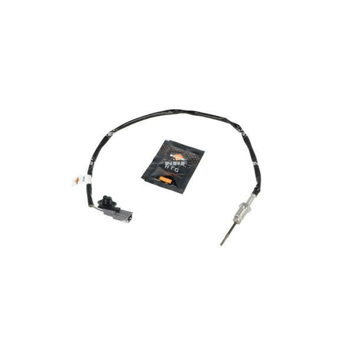 NRF Exhaust Gas Temperature Sensor before soot particulate fi 707443