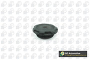 Bga CC0103 Cap, coolant tank