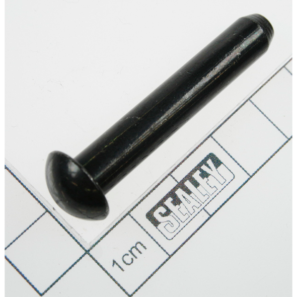 Sealey Rivet