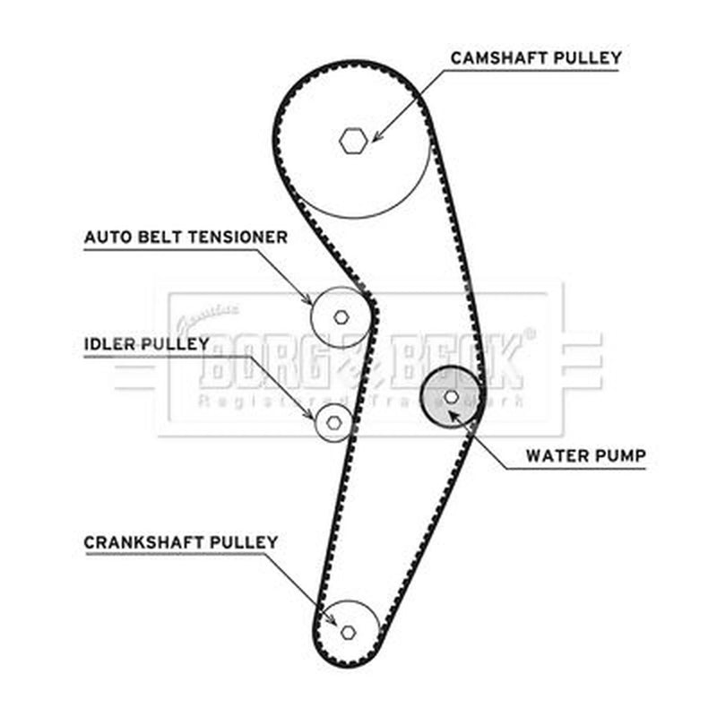 Borg & Beck Timing Belt & Water Pump Kit BTW1000