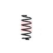Apec Rear Suspension Coil Spring ACS1663
