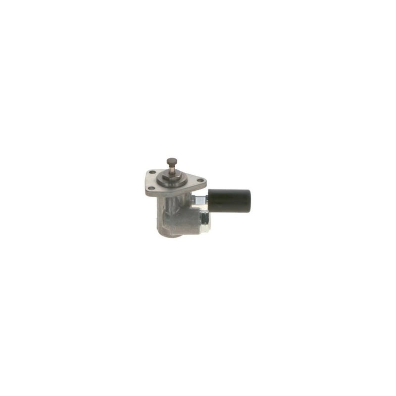 Bosch Fuel Pump Assembly 0 440 017 040