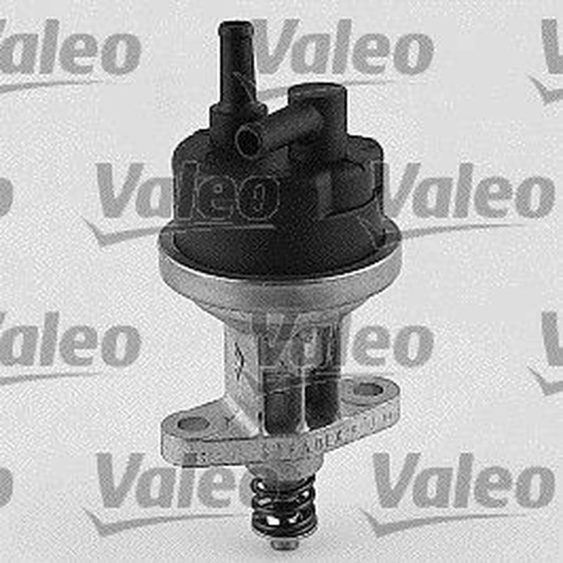 Valeo Fuel Pump Assembly 247073