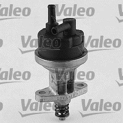 Valeo Fuel Pump Assembly 247073