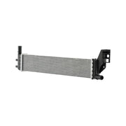 Hella Engine Radiator Front 8MK 366 304-641