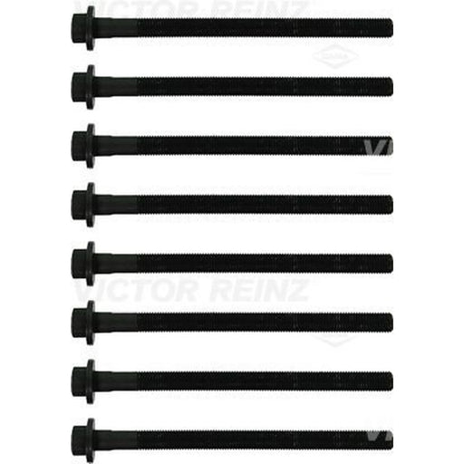 Victor Reinz Cylinder Head Bolt Set M12 14-10373-02