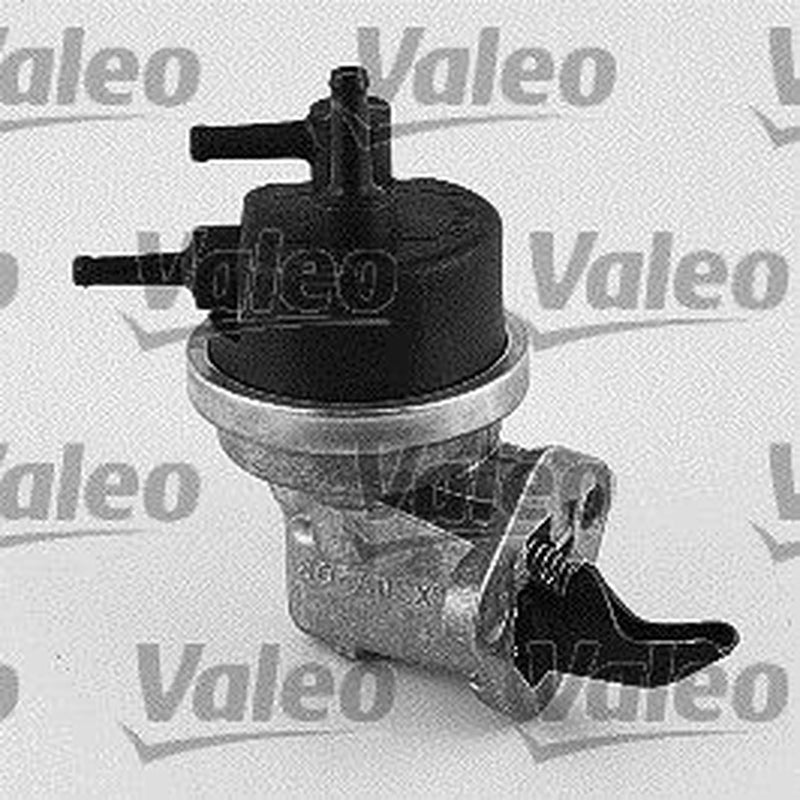 Valeo Fuel Pump Assembly 247101