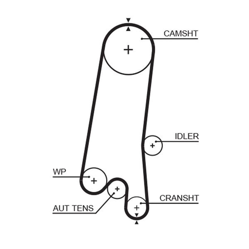 Gates Timing Belt Cambelt 137 Teeth 5597XS